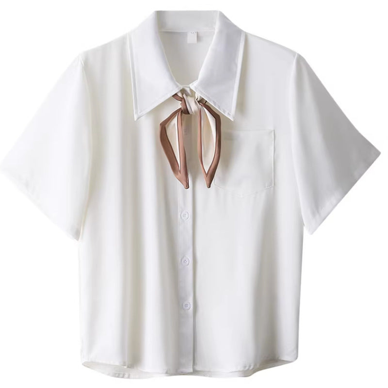 Bow Lapel Drape Professional Chiffon Shirt